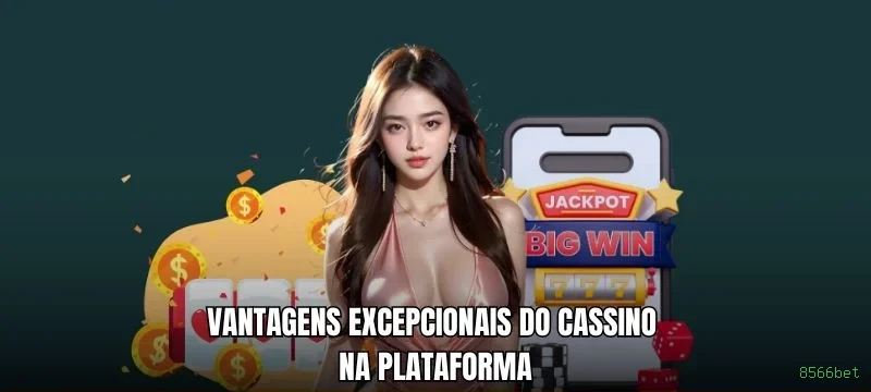 8566bet