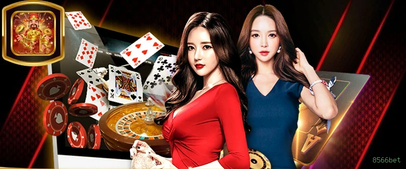 8566bet