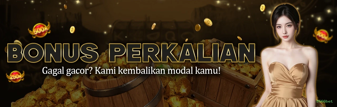 8566bet