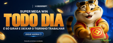 8566bet