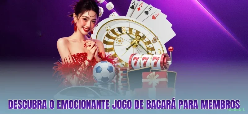 8566bet